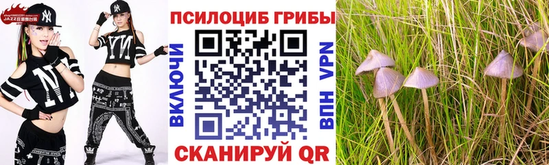 Псилоцибиновые грибы мухоморы  Королёв 